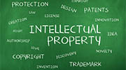 Uganda intellectual property rights investigator